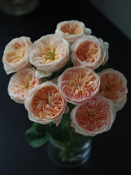 预售！朱丽叶玫瑰【我不介意你是荆棘，倘若你是玫瑰】简小姐精选 国产奥斯汀花园玫瑰 温柔奶油橙色 朱丽叶玫瑰 10枝 发货时间不定（有花就发）2束包邮 商品图2