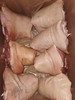 五肉联会员店  后平肘10kg/箱  每箱7个 商品缩略图2