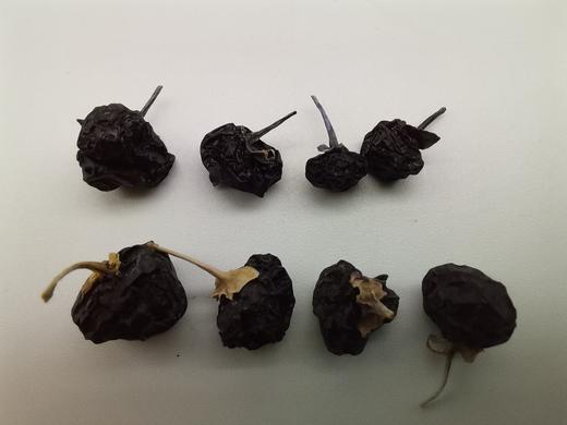 青海野生黑枸杞，保护视力小能手 商品图1