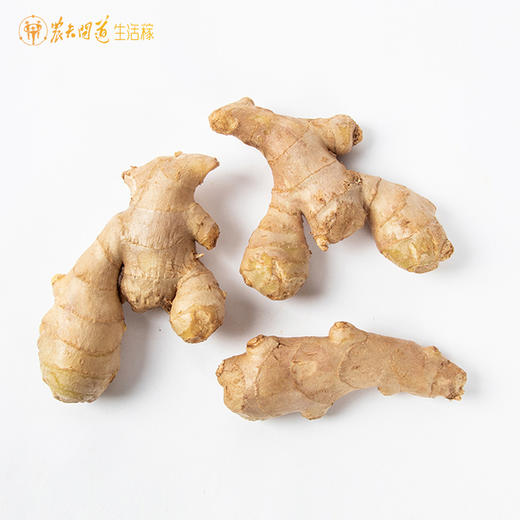 【生活稼】老姜 500g/份
