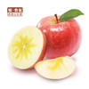 【GY】阿克苏冰糖心苹果（10斤礼盒装） 商品缩略图0