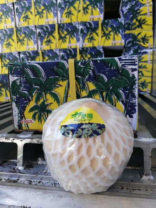 秒杀～【正宗泰国香水椰青】4头大果一箱（单果700-900g) 商品图1