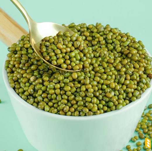 素食猫特产小明绿豆400g*3 商品图2