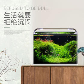 森森热弯鱼缸免换水懒人生态鱼缸小型水族箱超白玻璃金鱼缸水草缸
