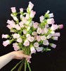 风铃花粉 商品缩略图1