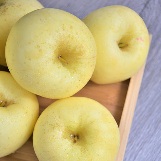 山东黄金奶油富士苹果