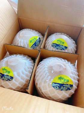 秒杀～【正宗泰国香水椰青】4头大果一箱（单果700-900g)