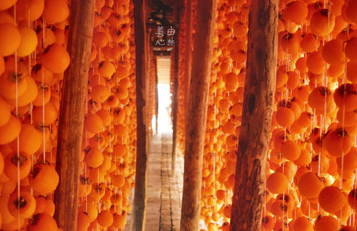 流心柿饼 商品图6