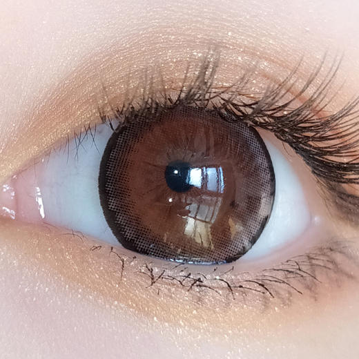 #204巧色 蜜果【 一片装】敏感眼主题 / 年抛 商品图0