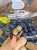 周日取货：【怡颗莓蓝莓】护眼神器！甜蜜无酸！果粉超足，蓝莓香味超浓！ 商品缩略图1