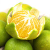 甘甜多汁皇帝柑 精品柑橘 新鲜水果 纯甜柑橘 商品缩略图3