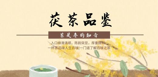 一杯茶，品百味人生 商品图0