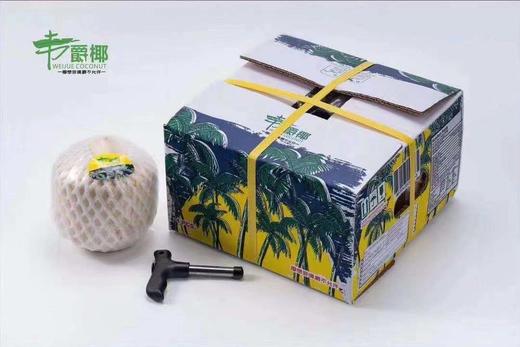 秒杀～【正宗泰国香水椰青】4头大果一箱（单果700-900g) 商品图2