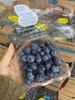 周日取货：【怡颗莓蓝莓】护眼神器！甜蜜无酸！果粉超足，蓝莓香味超浓！ 商品缩略图3