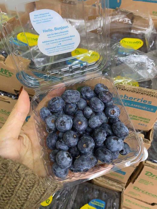 周日取货：【怡颗莓蓝莓】护眼神器！甜蜜无酸！果粉超足，蓝莓香味超浓！ 商品图3