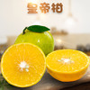 甘甜多汁皇帝柑 精品柑橘 新鲜水果 纯甜柑橘 商品缩略图0