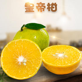 甘甜多汁皇帝柑 精品柑橘 新鲜水果 纯甜柑橘