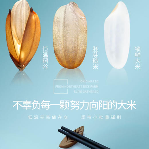素食猫泰来特产长粒香大米25kg/袋 商品图4