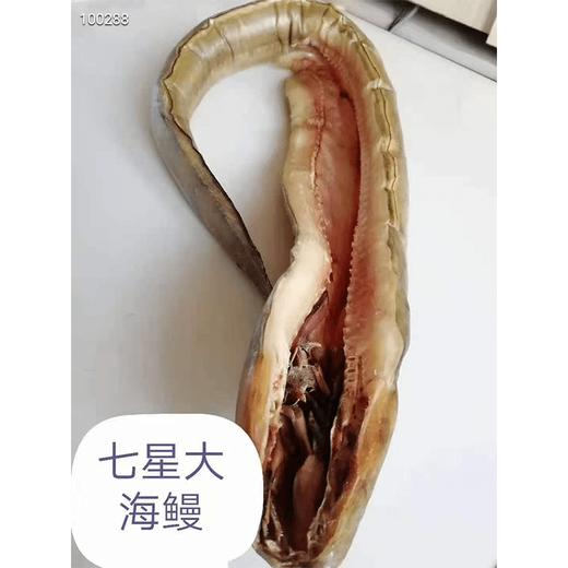 鳝鱼干晒好了，大连湾50多年的老渔民亲自晾晒  正宗的野生七星鳗鱼 （400-500克一条） 阳光明媚的北风天气晾晒2天  鳝鱼越大越香 口感越好 煎着吃滋滋冒油，全国包邮，偏远除外。不接急单！！！ 商品图3