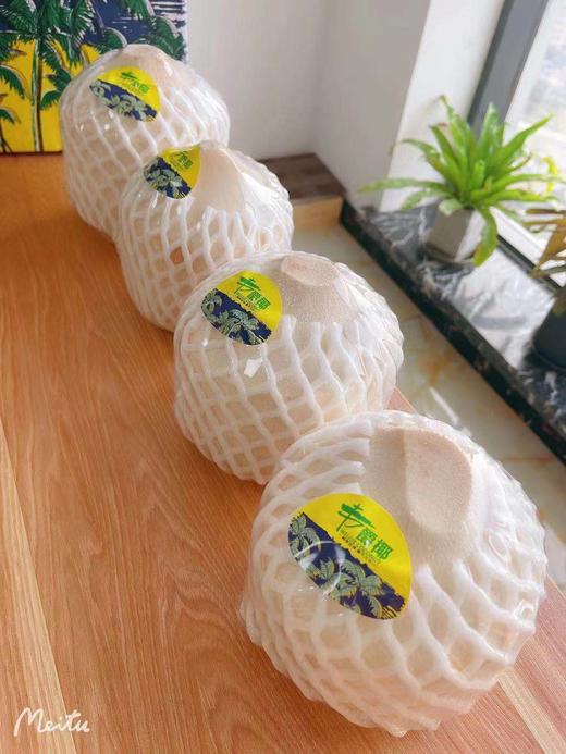 秒杀～【正宗泰国香水椰青】4头大果一箱（单果700-900g) 商品图3