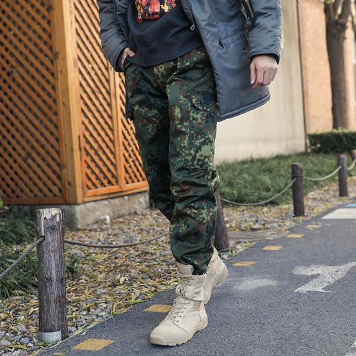 德国现役配发版19新款德斑迷彩战术工装多袋长裤