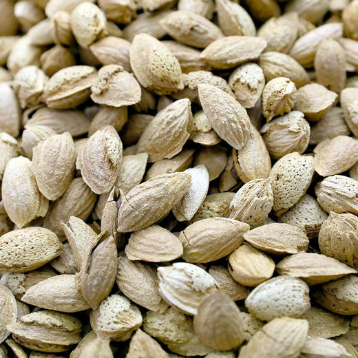 阿克苏薄壳巴旦木 椒盐味/五香/原味 500g 商品图5