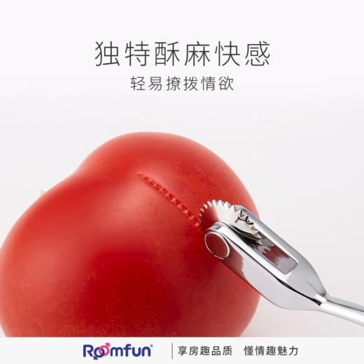 美国roomfun房趣S-M刺轮工具餐具刺轮情趣玩具调情调教滑滚刺轮性用品 商品图1