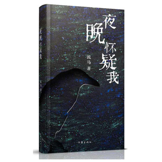 重新定义世界 ：《夜晚怀疑我》《老实街》 商品图0