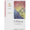 少年漂泊者 商品缩略图0