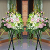 开业吉利（单）      绣球，百合，剑兰，緑掌，洋兰，跳舞兰，三角架花篮（3062） 商品缩略图0