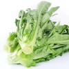 油麦菜  500g 商品缩略图0