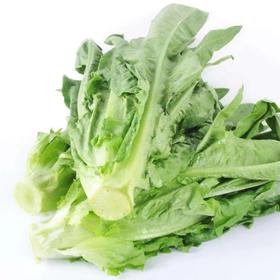 油麦菜  500g