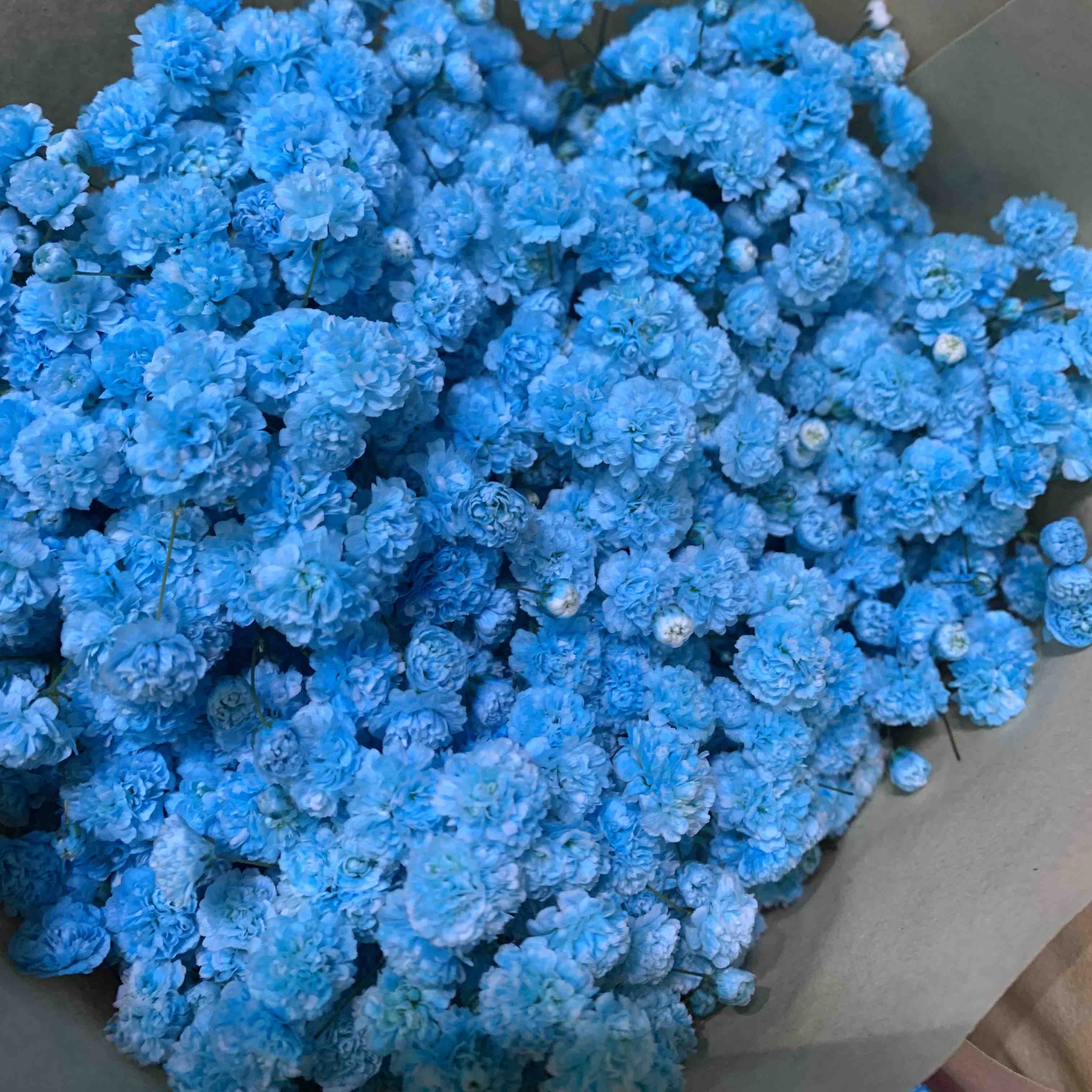 彩色满天星 各色都有，点击进入查看