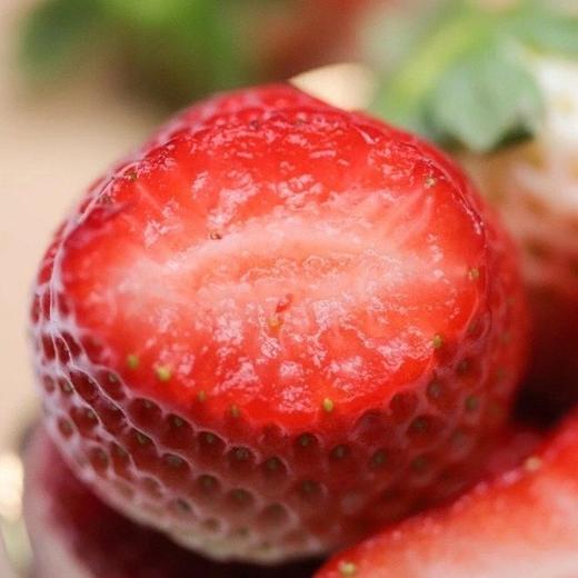 丹东东港玖玖草莓（产地直发） 商品图10