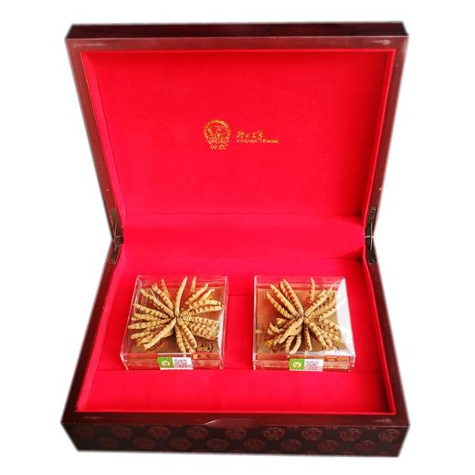 神象 冬虫夏草 10克*2小盒扎花p26 商品图0