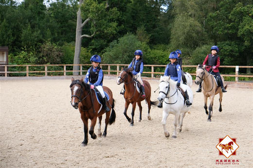 【体验课】3.5—6岁 骑乘体验课程 线下课 商品图2