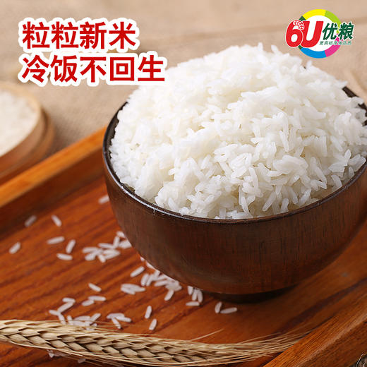 【力拓正稻】香丝苗大米5kg 商品图2