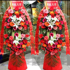 财通四海（单个）   弗兰，百合，花篮（3072）