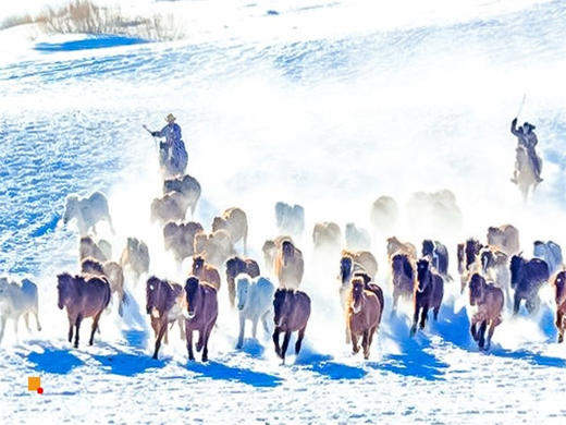 元旦3日【乌兰布统•多伦湖冬捕】魔界暖水河+透风沟+蛤蟆坝+白家窝铺+鹰窝沟+影视基地 商品图8