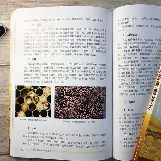 蜜蜂健康高效养殖技术 王彪 李勇 罗术东 蜜蜂养殖技术书籍 蜂场建设蜂群四季管理中蜂人工育王蜜蜂病敌害防控中蜂高效养殖书 商品图2