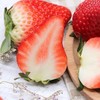 丹东东港玖玖草莓（产地直发） 商品缩略图14