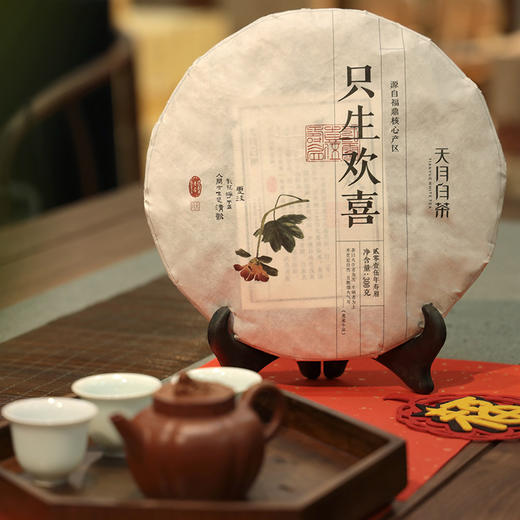 【天月白茶】2015年只生欢喜福鼎白茶寿眉饼茶 300g 商品图4