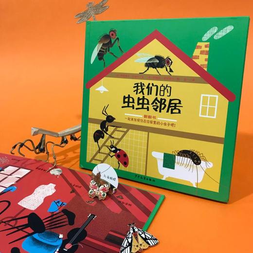 我们的虫虫邻居 商品图1