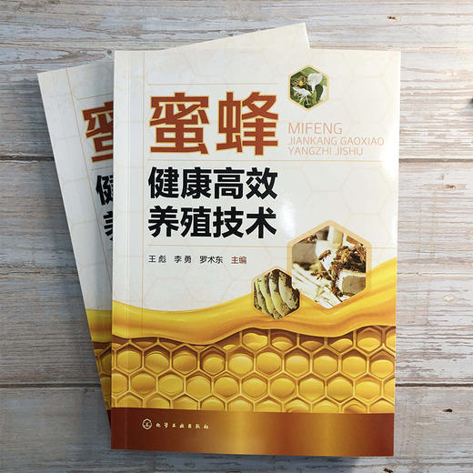 蜜蜂健康高效养殖技术 王彪 李勇 罗术东 蜜蜂养殖技术书籍 蜂场建设蜂群四季管理中蜂人工育王蜜蜂病敌害防控中蜂高效养殖书 商品图4