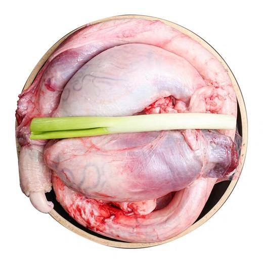 黄牛牛鞭宝1副（2.5-3斤） 商品图1