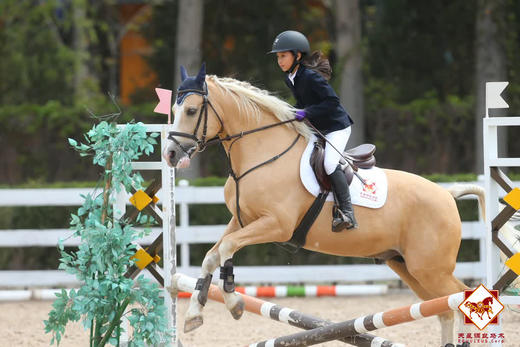 【体验课】6岁及以上 非会员  周二至周五体验 线下课 商品图4