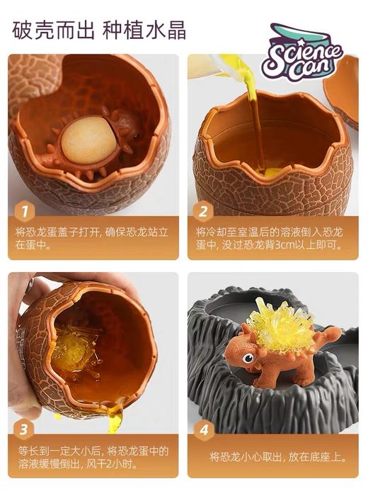 儿童科学实验套装学生趣味stem玩具种植生长水晶晶体培养手工制作 商品图2