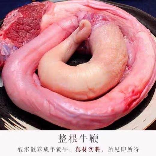 黄牛牛鞭宝1副（2.5-3斤） 商品图3