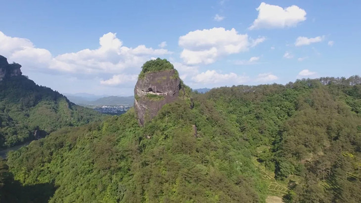 茶香记岩上虎啸年正岩山场虎啸岩肉桂香气高锐甜醇饱满