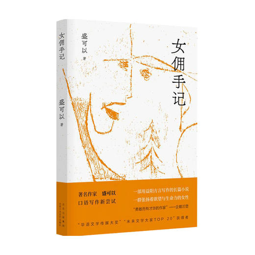 新书预售 女佣手记 盛可以 著 现当代小说书籍 商品图1